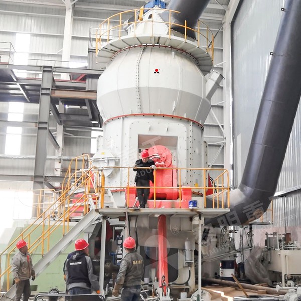 Engineer performing maintenance check on VRM rollers