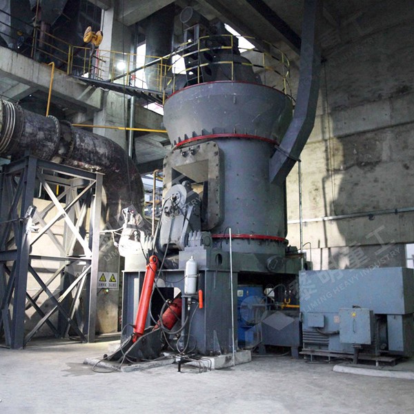 Internal structure of LM vertical roller mill showing rollers and table